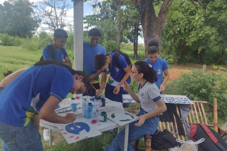 Elaboração das Placas educativas